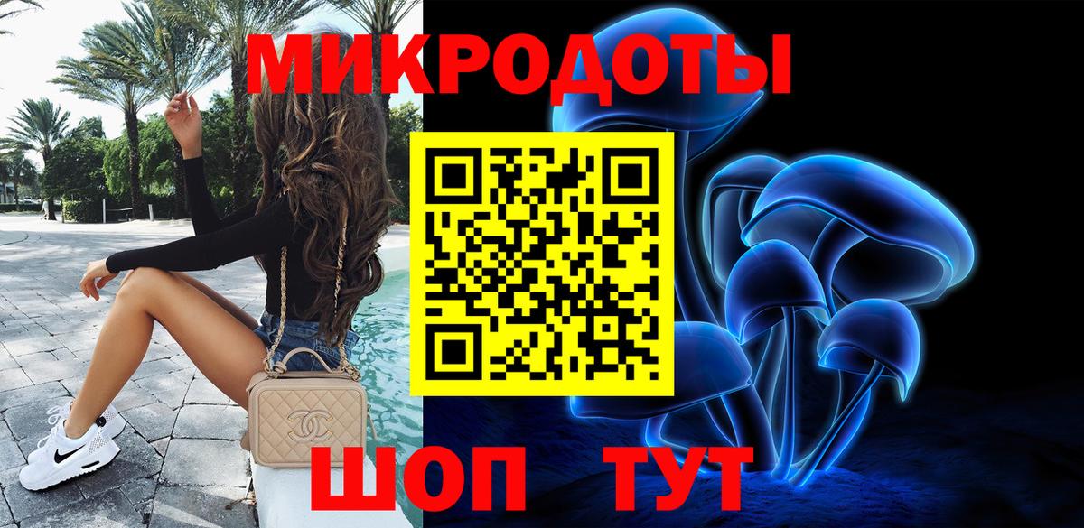 Псилоцибиновые грибы Psilocybine cubensis Элиста