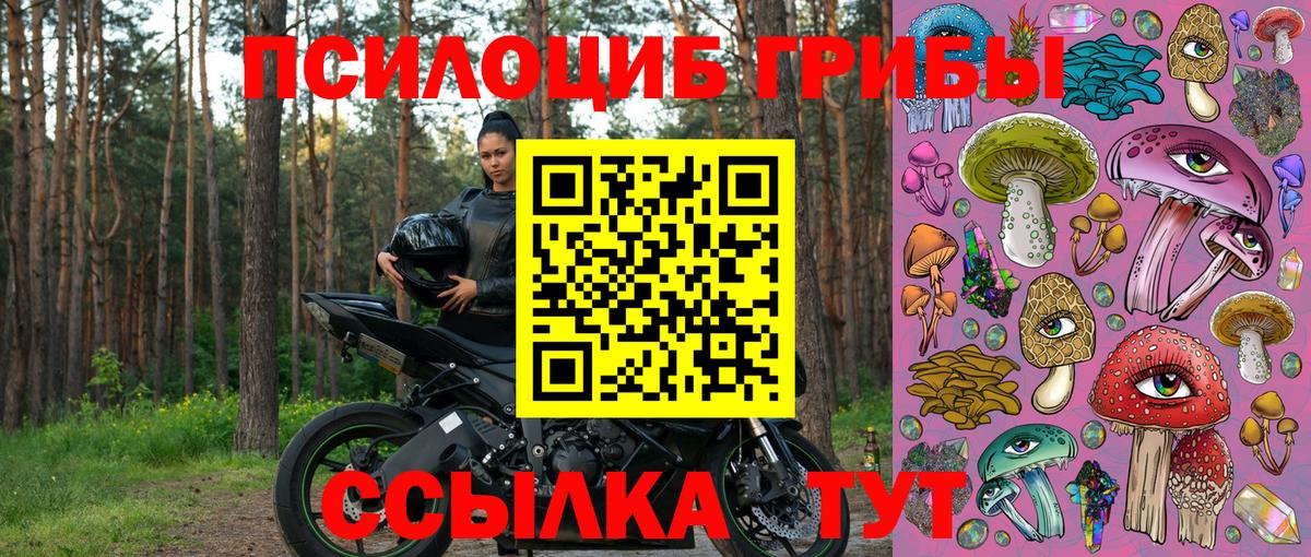 Псилоцибиновые грибы Magic Shrooms  Вход с VPN  Элиста 